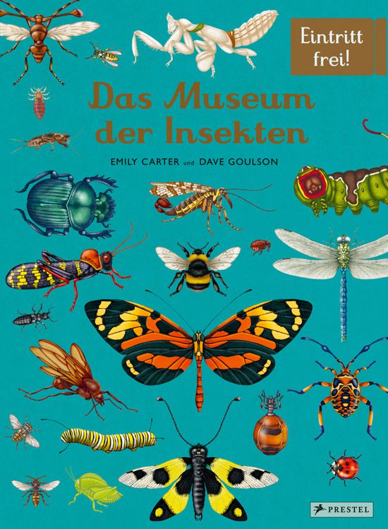 Das Museum der Insekten