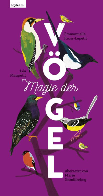 Magie der Vögel