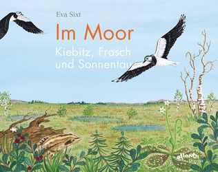 Im Moor – Kiebitz, Frosch und Sonnentau