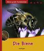Meine große Tierbibliothek: Die Biene