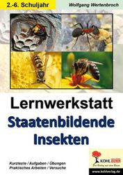 Lernwerkstatt Staatenbildende Insekten